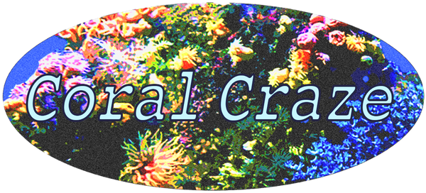 Coral Craze - Bog Tropic